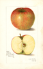Apples, No Core (1908)