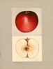 Apples, Milton (1935)