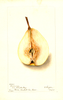 Pears, Cincincis (1904)