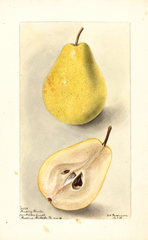 Pears, Reading Winter (1898)