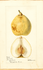 Pears, Edmundo (1895)