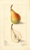 Pears, Giffard (1908)