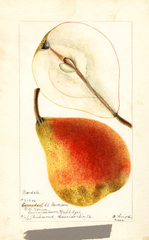 Pears, Euverdael St. Germain (1901)