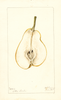 Pears, Lawson (1897)