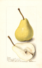 Pears, Madam Treyve (1899)