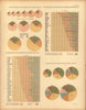 The total population and its elements at each census: 1790 to 1890