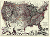 United States Showing Routes Of Principal Explorers And Easrly Roads And Highways