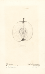 Pears (1918)