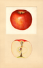 Apples, Doctor Matthews (1936)