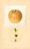Apples, Malinda (1934)