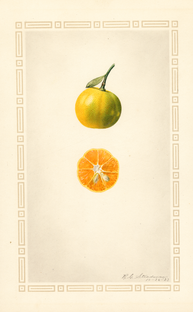 Mandarins (1923)