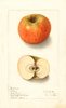 Apples, Okoboji (1906)