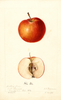 Apples, Hi Di (1893)