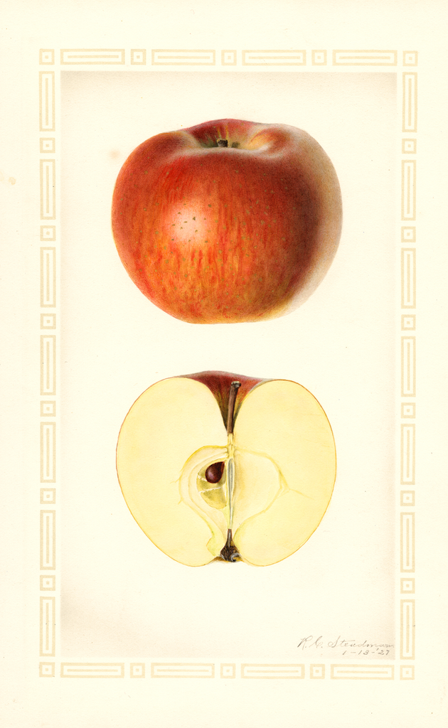 Apples, Isham (1927)