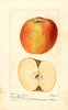 Apples, Isham (1896)