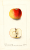 Apples, Ornament De Table