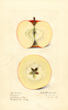 Apples, Oranco (1917)