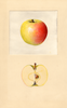 Apples, Rosa Gentile (1939)