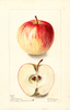 Apples, Mary (1901)