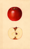 Apples, Jonathan (1934)