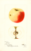 Apples, Nittany (1897)