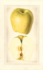 Apples, No Blow (1929)