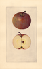 Apples, Piper (1925)