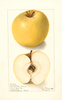 Apples, Grahams Royal Jubilee (1907)