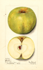 Apples, Alfriston (1913)