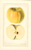 Apples, Arnold (1927)