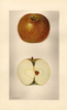 Apples, Annette (1928)