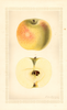 Apples, Winter Banana (1927)