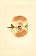 Apples (1912)