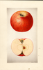 Apples, Big Upp (1928)