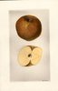 Apples, Bonne Hoture (1928)