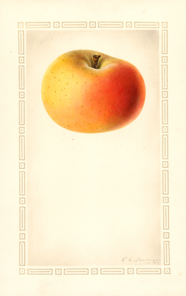 Apples, Beninanako (1928)