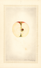 Apples, Benoni (1924)