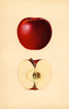 Apples, Blaxtayman (1933)