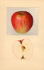 Apples, Courad (1938)