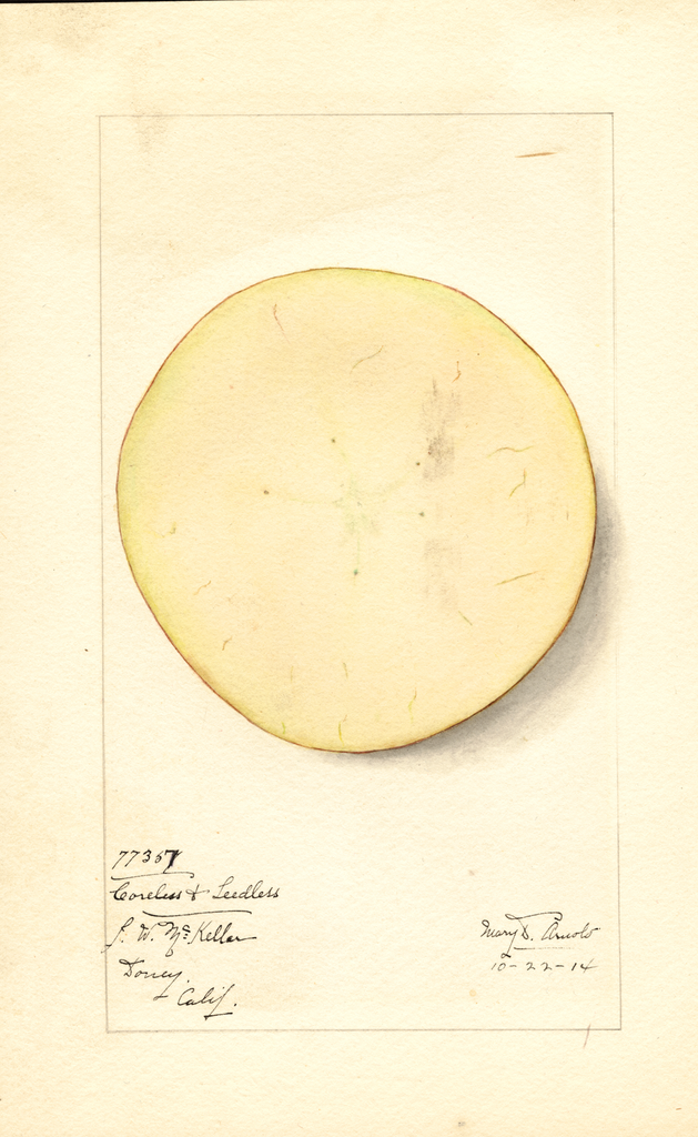 Apples, Coreless & Seedless (1914)