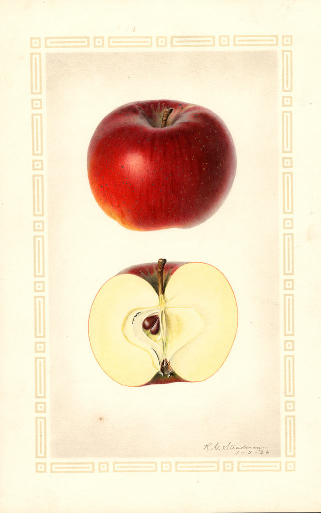 Apples, Clawis (1926)