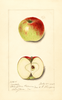 Apples, Mabel (1915)