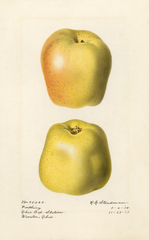 Apples, Farthing (1918)