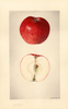 Apples (1929)