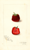 Strawberries, Norwood (1909)