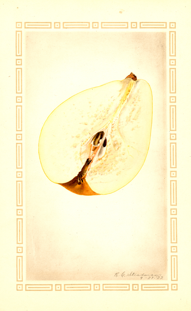 Pears, Cincincis (1922)