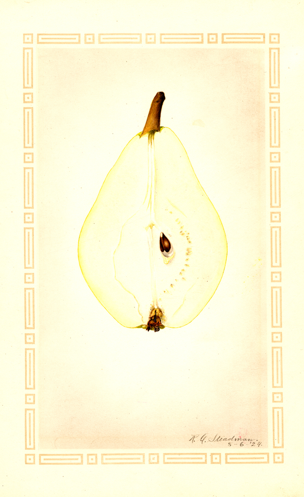 Pears, Clapps Favorite (1924)