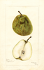 Pears, Angouleme (1901)