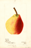 Pears, Bartlett (1897)