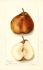 Pears, Spina Del Carpio (1904)